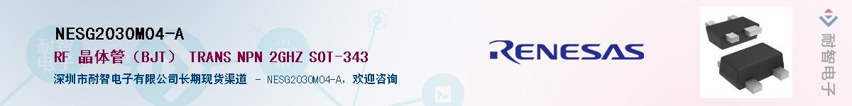 NESG2030M04-AӦ-ǵ