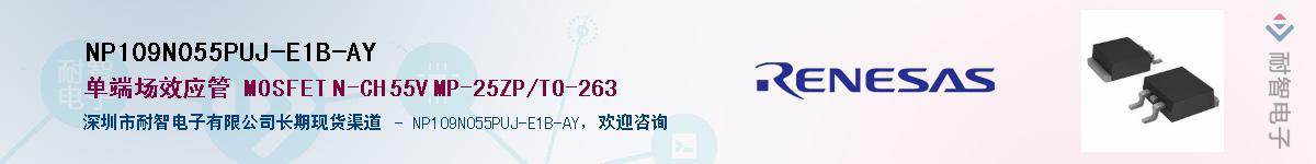 NP109N055PUJ-E1B-AYӦ-ǵ