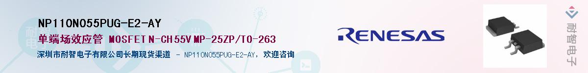 NP110N055PUG-E2-AYӦ-ǵ