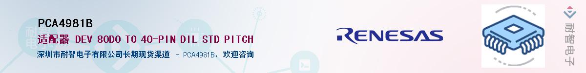 PCA4981BӦ-ǵ