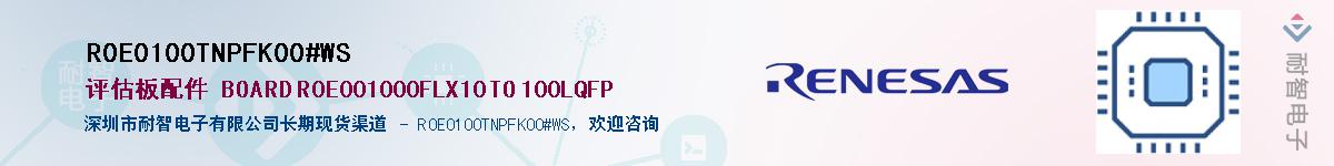 R0E0100TNPFK00#WSӦ-ǵ