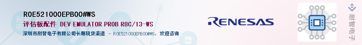 R0E521000EPB00#WSӦ-ǵ