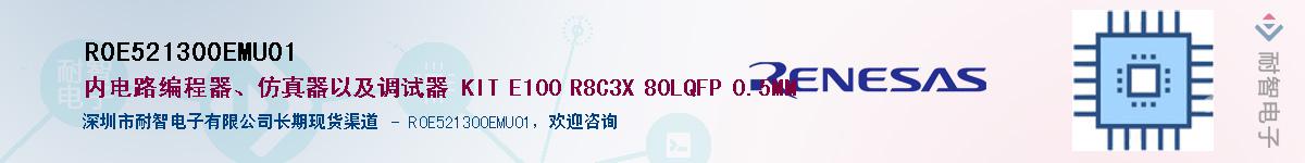R0E521300EMU01Ӧ-ǵ