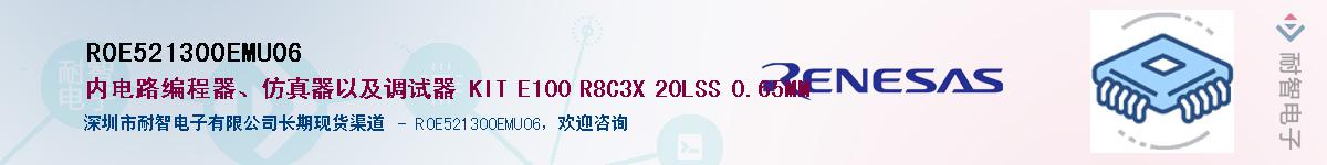 R0E521300EMU06Ӧ-ǵ