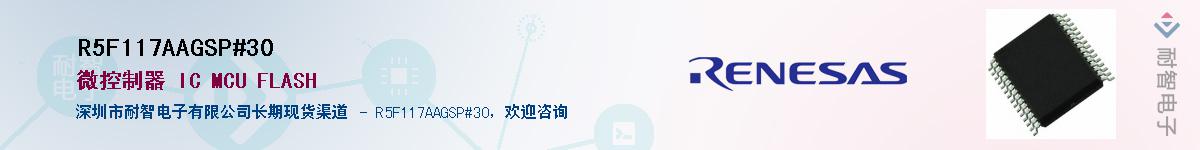 R5F117AAGSP#30��Ӧ��-���ǵ���