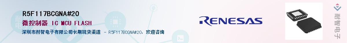 R5F117BCGNA#20��Ӧ��-���ǵ���