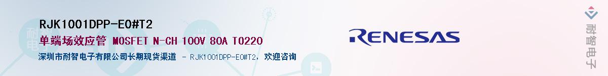 RJK1001DPP-E0#T2Ӧ-ǵ