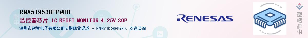 RNA51953BFP#H0Ӧ-ǵ