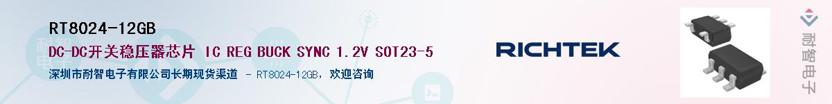 RT8024-12GBӦ-ǵ