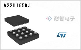 A22H165MJ