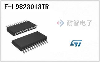 E-L9823013TR