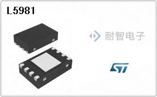 L5981