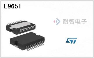 L9651