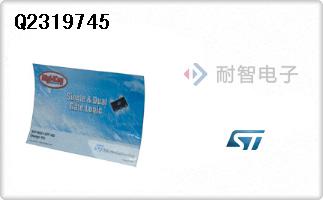Q2319745