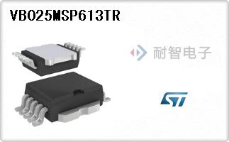 VB025MSP613TR