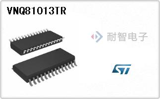 VNQ81013TR