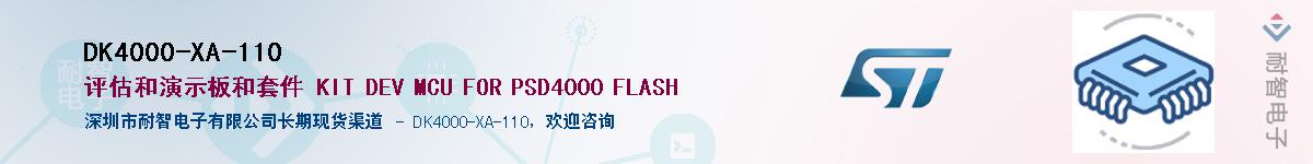 DK4000-XA-110Ӧ-ǵ