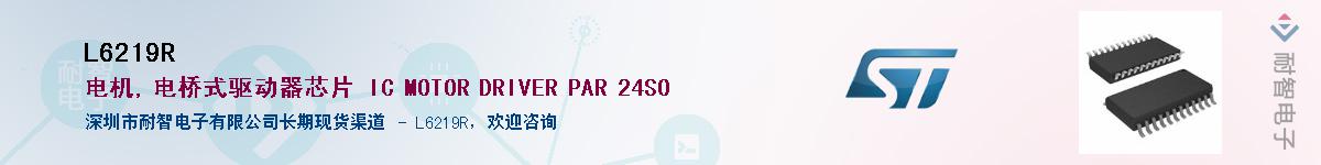 L6219R��Ӧ��-���ǵ���