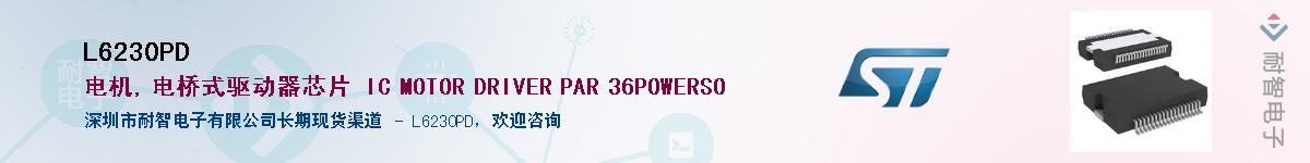 L6230PD��Ӧ��-���ǵ���