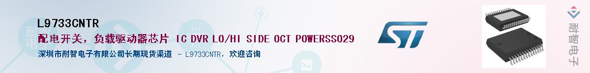 L9733CNTRӦ-ǵ