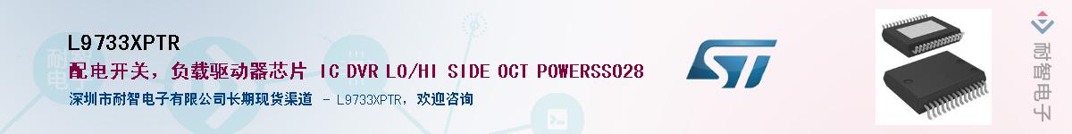 L9733XPTRӦ-ǵ