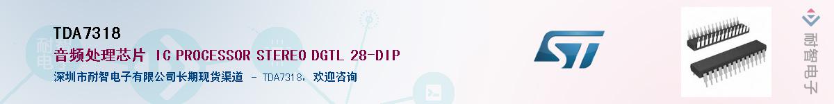 TDA7318��Ӧ��-���ǵ���
