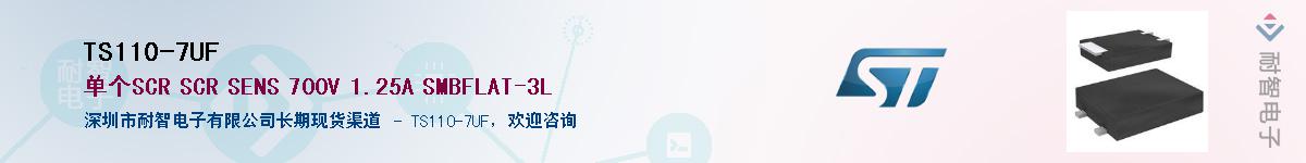 TS110-7UFӦ-ǵ