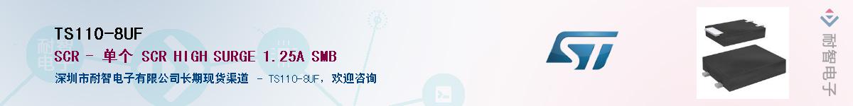 TS110-8UFӦ-ǵ