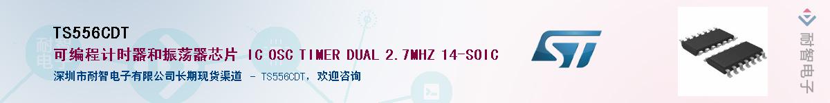 TS556CDT��Ӧ��-���ǵ���