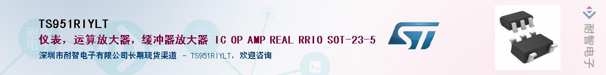 TS951RIYLT��Ӧ��-���ǵ���