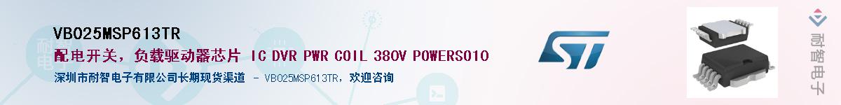 VB025MSP613TR��Ӧ��-���ǵ���