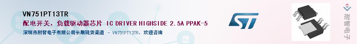 VN751PT13TRӦ-ǵ