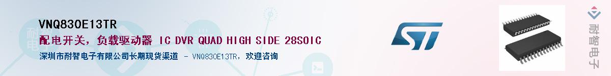 VNQ830E13TRӦ-ǵ