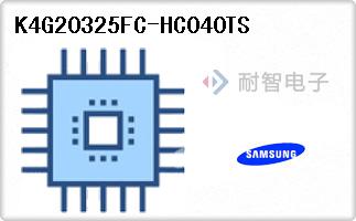 K4G20325FC-HC040TS