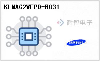 KLMAG2WEPD-B031