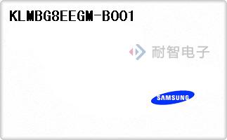 KLMBG8EEGM-B001