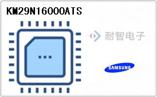 KM29N16000ATS