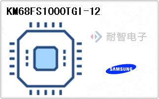 KM68FS1000TGI-12