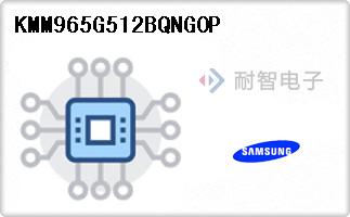 KMM965G512BQNG0P