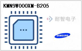 KMN9W000XM-B205