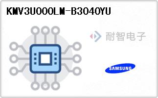 KMV3U000LM-B3040YU