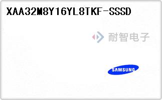 XAA32M8Y16YL8TKF-SSSD