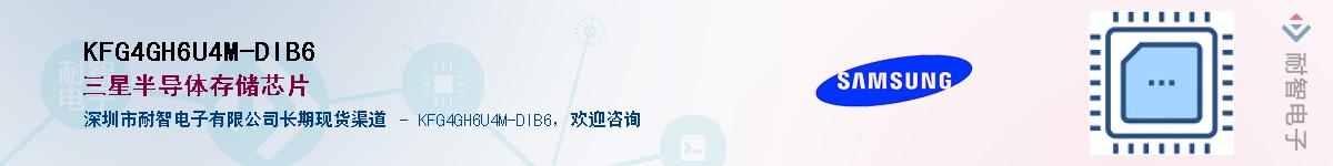 KFG4GH6U4M-DIB6��Ӧ��-���ǵ���