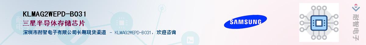 KLMAG2WEPD-B031Ӧ-ǵ