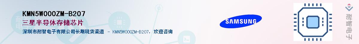 KMN5W000ZM-B207Ӧ-ǵ