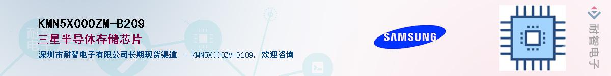 KMN5X000ZM-B209Ӧ-ǵ