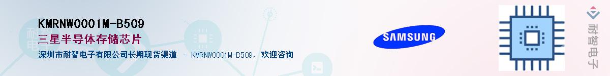 KMRNW0001M-B509Ӧ-ǵ