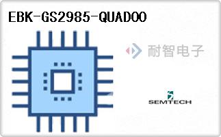 EBK-GS2985-QUAD00