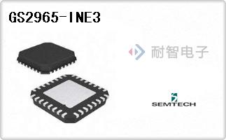 GS2965-INE3