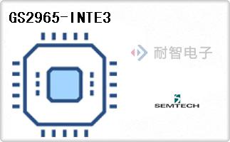 GS2965-INTE3